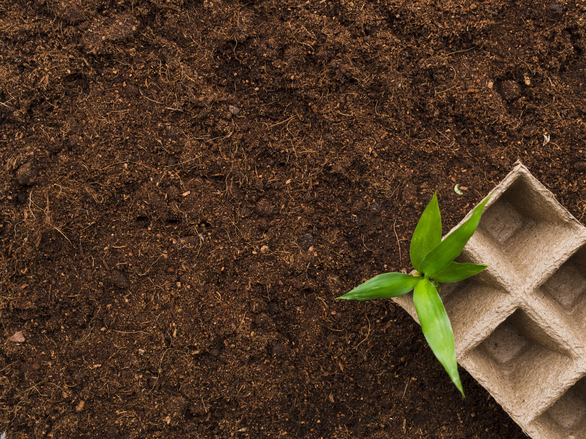 Organic Fertilizer Application