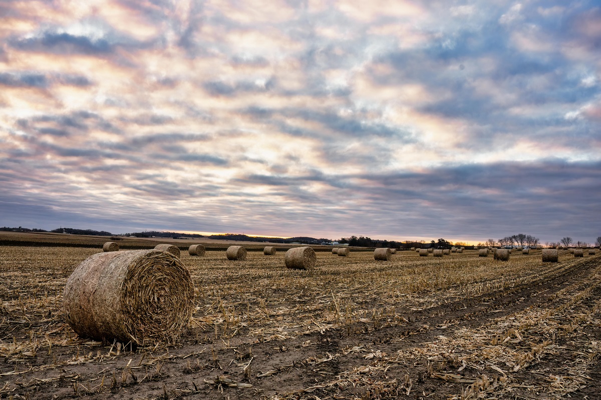 Crop Residues